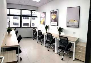 天津德国无掩膜光刻系统