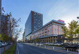 买植草砖经销商